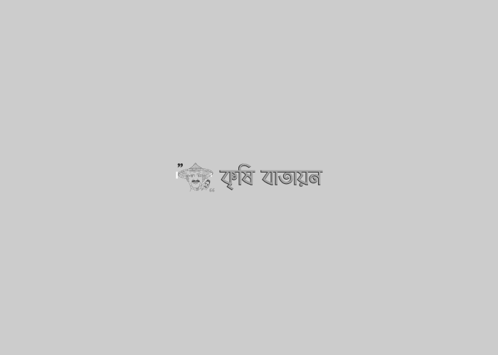খনা কথন