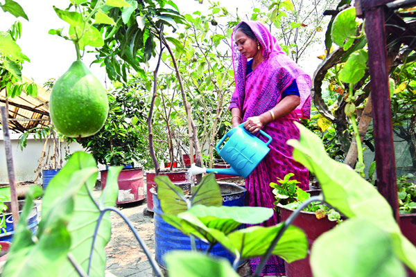 ছাদ বাগানের শত্রু দমন