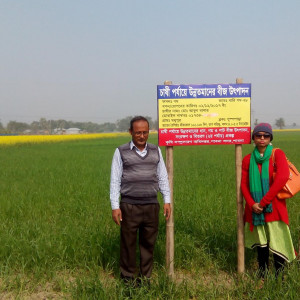 গম প্রদর্শনী